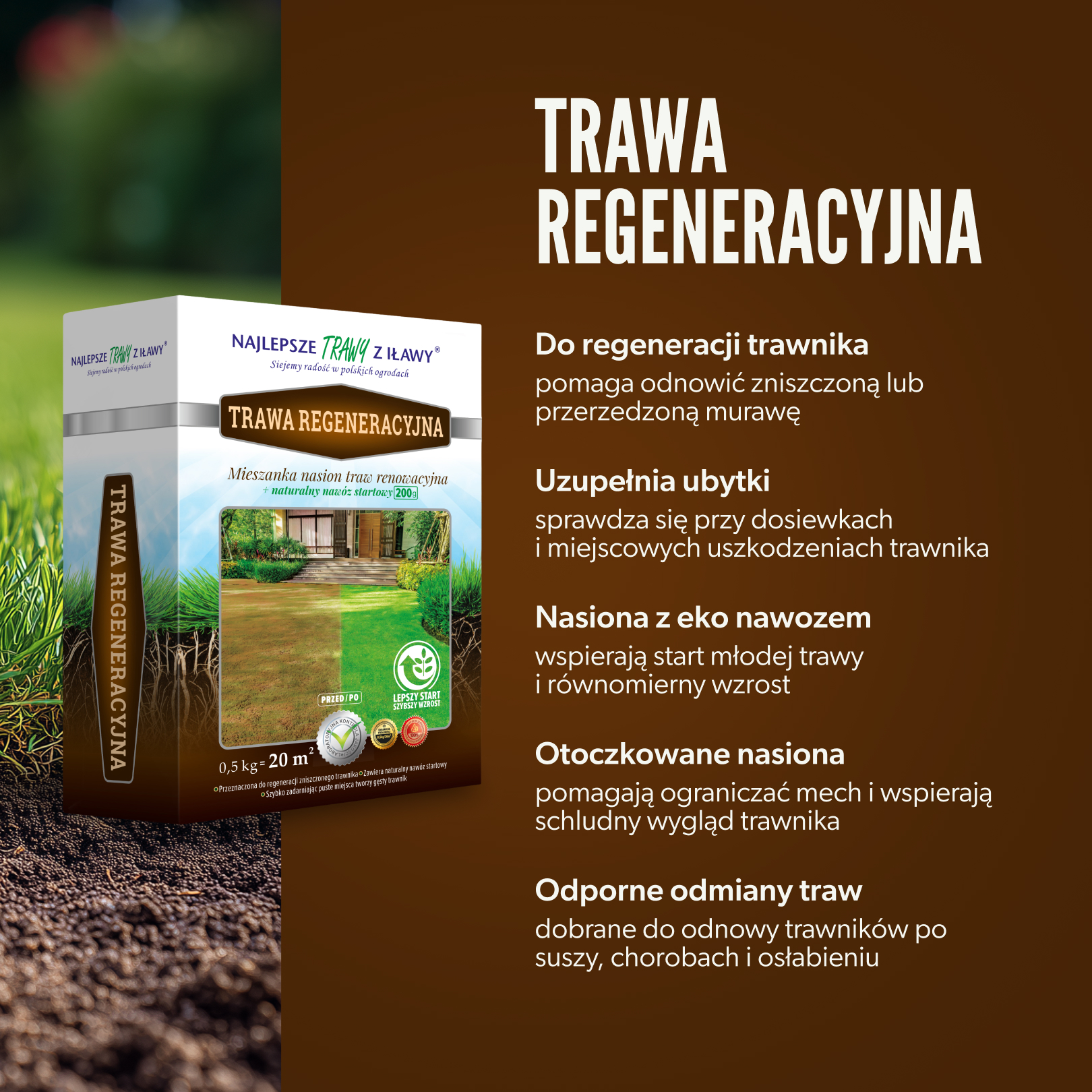 regeneracyjna-2.jpg